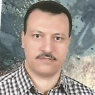 د. علي محمد علي شحاته