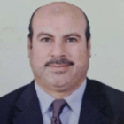 Prof. Dr. Sherif Mohammed Mohammed Sherif