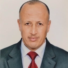 Assoc. Prof. Hisham Ahmed Khaldi