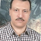 Mr. Ali Mohamed Ali Shahata
