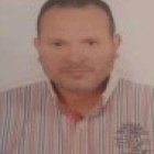 Dr. Ayman Fathi Sharif Al-Koumi