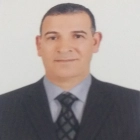 أ.م د. عامر شلبي حسن